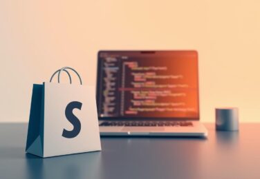 How to use Remix Framework in Shopify Custom Template