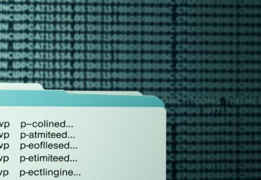 WordPress File Structure for Custom Web Development