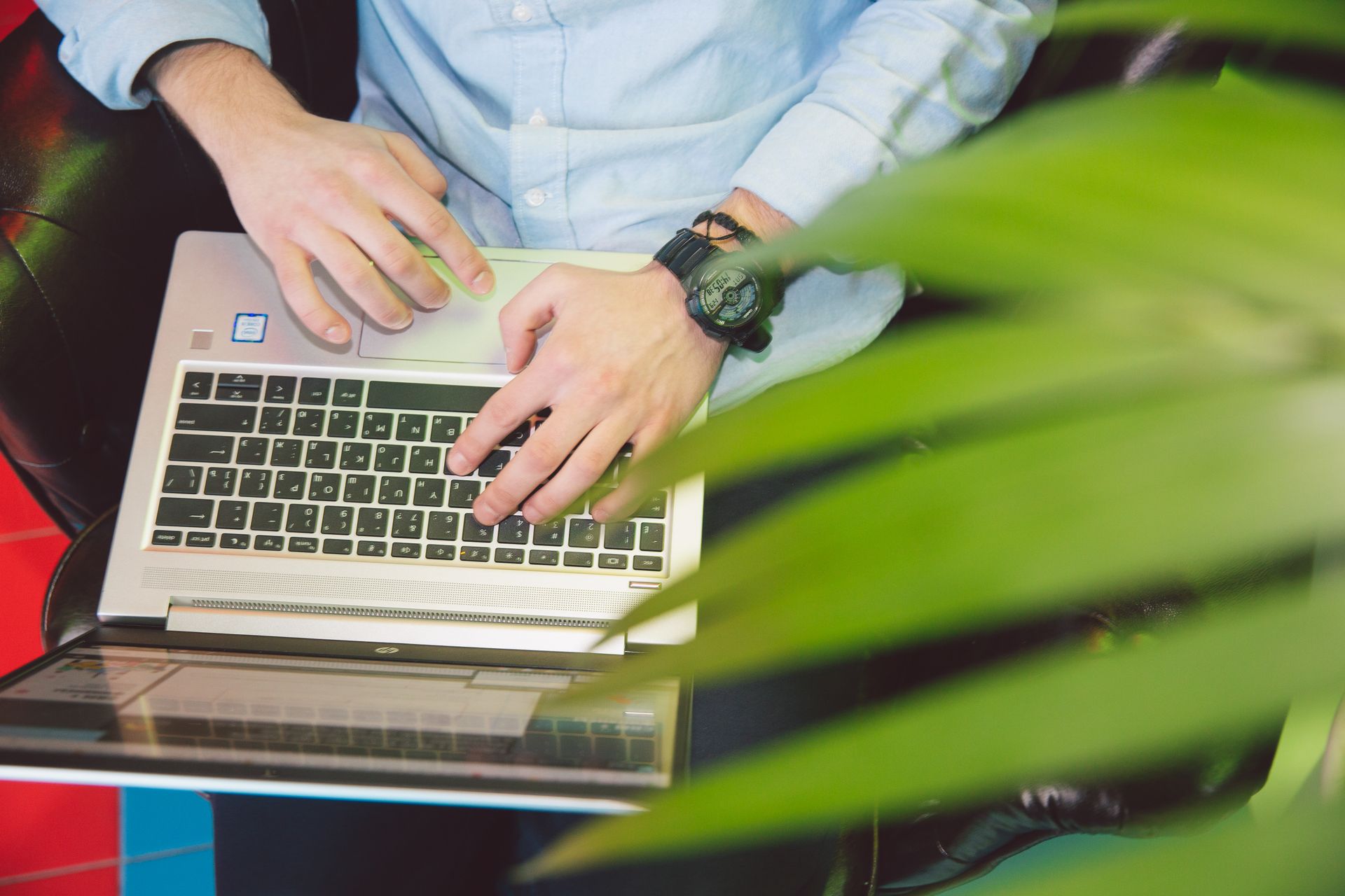 Choosing Between Webflow and WordPress for Sydney Brands